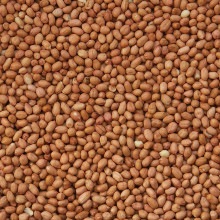 Vanrobaeys - Lúpané arašidy 25kg, tovar aj rozvažujeme