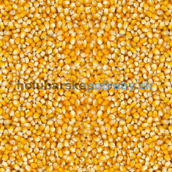 Vanrobaeys - Nr. 198 Malá žltá Cribbs kukurica  25kg,